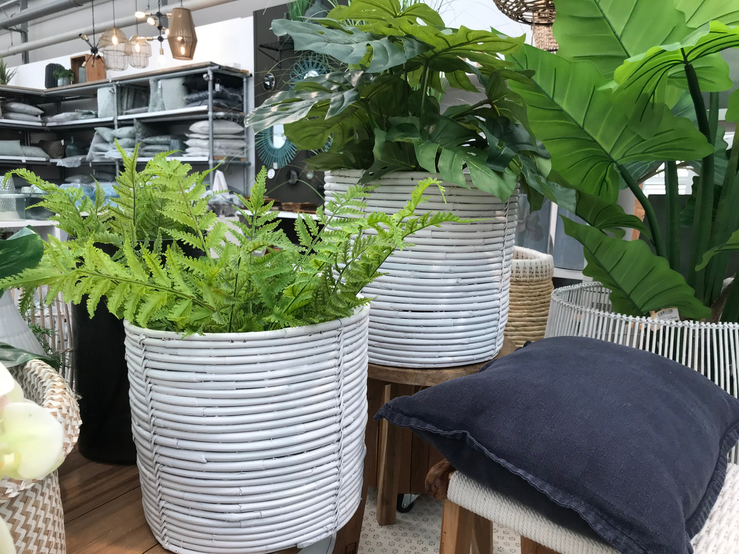 PLANT POT | PALMA | WIT | GROOT